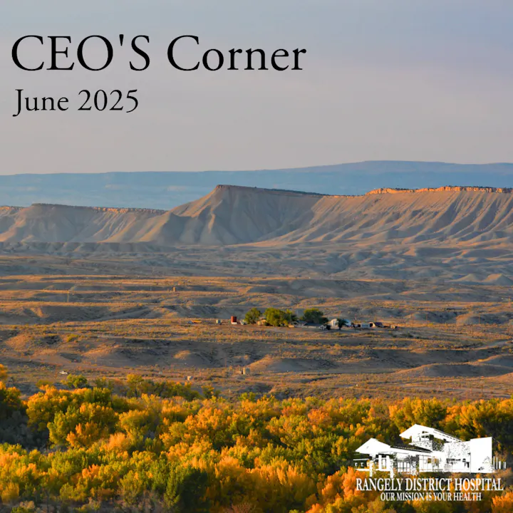 The image features a scenic landscape with distant hills and autumn foliage, titled "CEO's Corner" for June 2025.