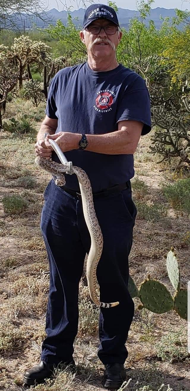 May contain: animal and person