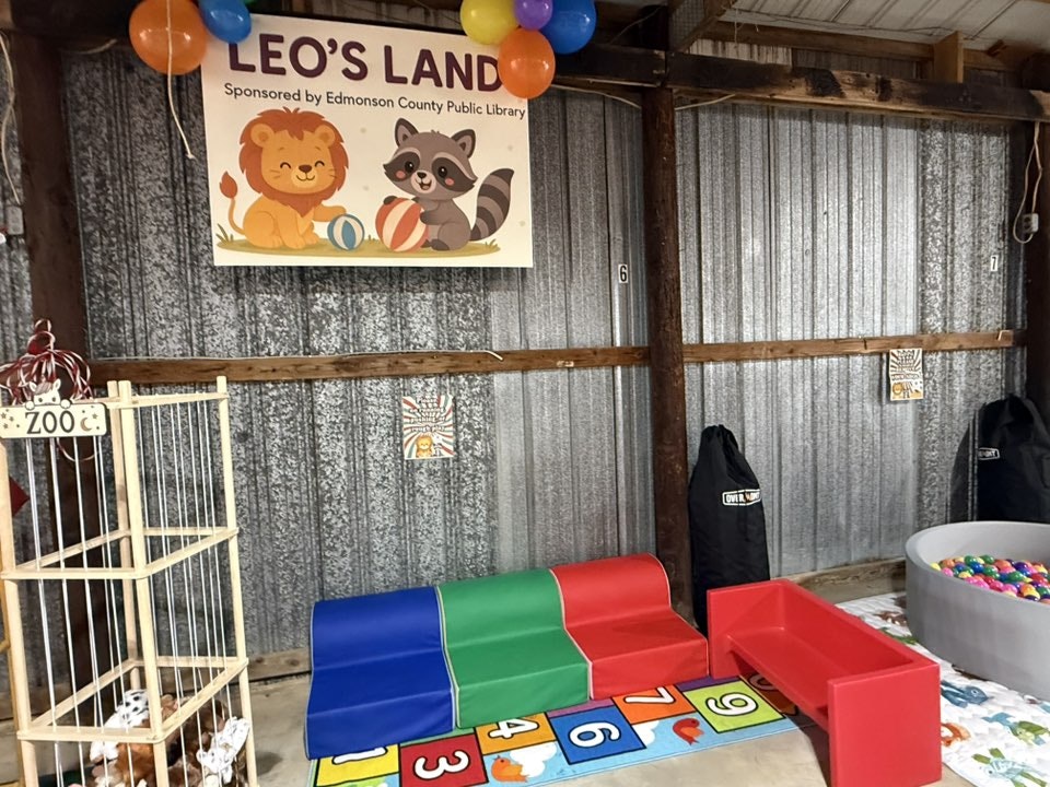 Children's play area "Leo's Land" with foam seats, colorful mat, ball pit, stuffed animals, and a sign with lion and raccoon cartoon.