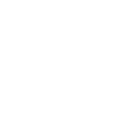 Check Mark