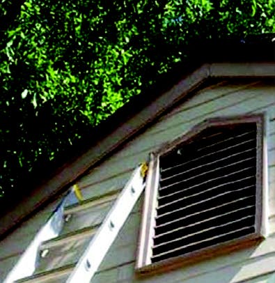 May contain: window and curtain