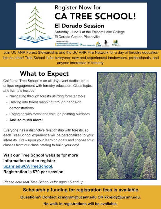May contain: advertisement, plant, tree, poster, vegetation, conifer, fir, page, text, and pine