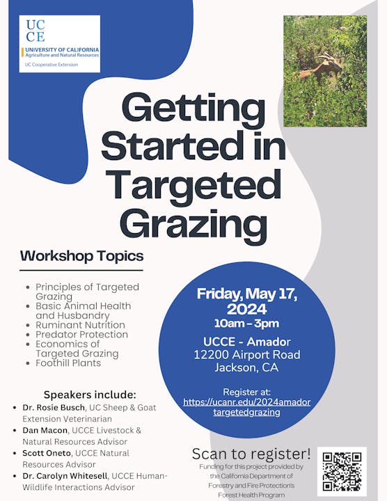 Flyer for a workshop titled “Getting Started in Targeted Grazing” hosted by UCCE. It takes place on Friday, May 17, 2024, from 10am–3pm at UCCE – Amador, 12200 Airport Road, Jackson, CA. The flyer lists workshop topics and speakers, and includes a QR code and registration email: mlklassen@ucanr.edu.