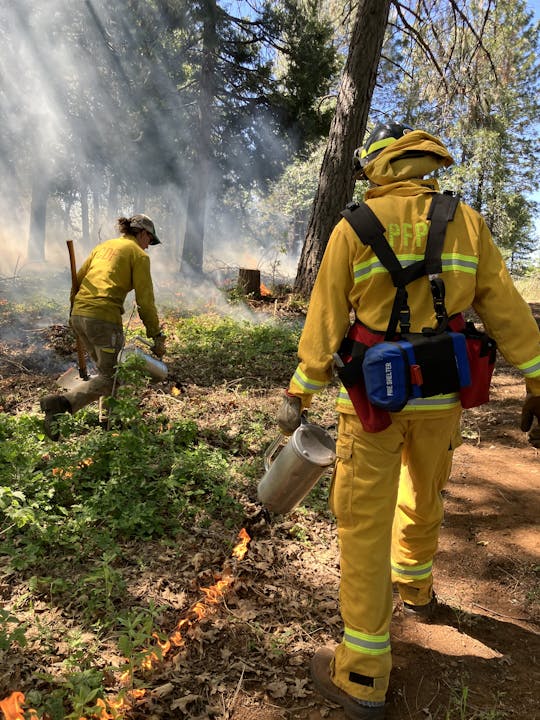 May contain: clothing, glove, adult, male, man, person, accessories, bag, handbag, hat, helmet, soil, plant, vegetation, footwear, shoe, and worker