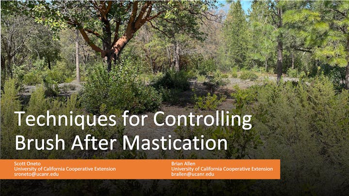 Title slide of a presentation titled “Techniques for Controlling Brush After Mastication” by Scott Oneto and Ryan W. White, University of California Cooperative Extension. The background shows a forested area with various shrubs and trees.