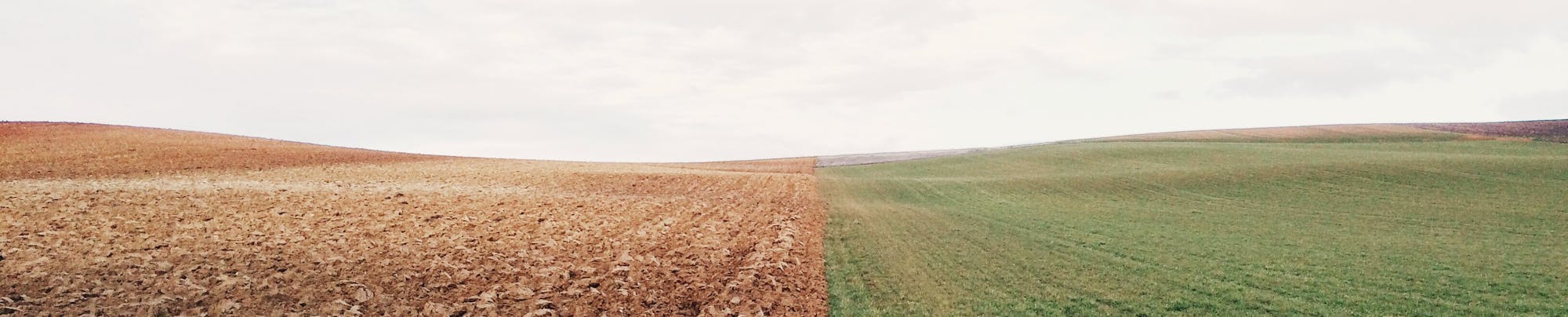 A field split in two: one side is plowed soil, the other is green grass under a cloudy sky.