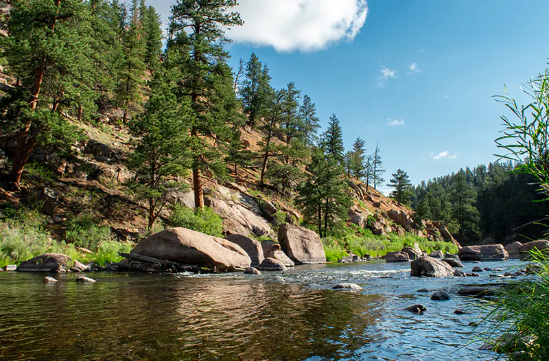 A tranquil river flows through a lush forested area, with rocks, trees, and a bright blue sky above.