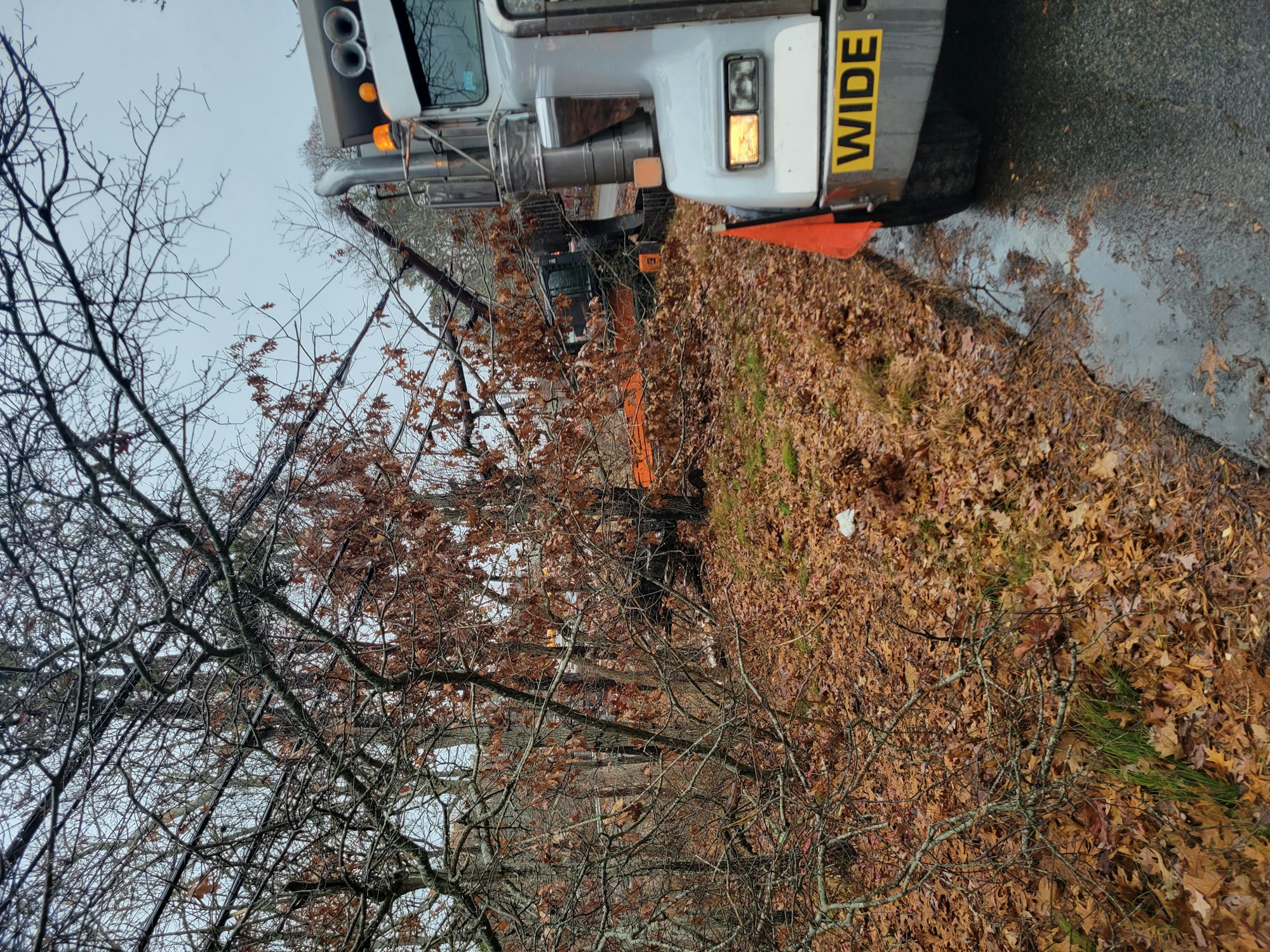 A truck is parked near a road covered with fallen leaves and bare trees, indicating autumn or winter conditions.