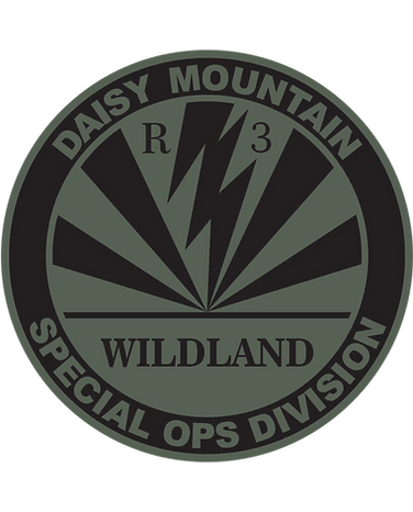 Logo: Daisy Mountain Special Ops Division, wildland