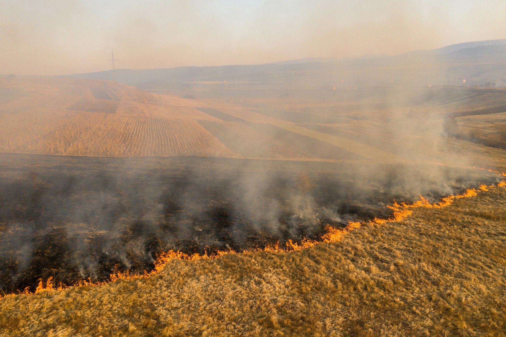 Grassland fire with smoke spreading across a field, with farmland visible in the background.