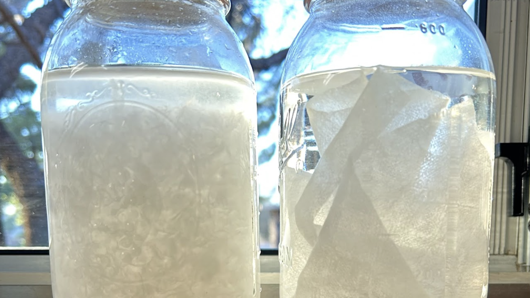 Two jars with clear liquids, one cloudy, against a bright background, possibly a science experiment.