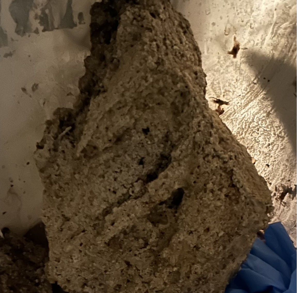 A close-up of rough-textured material, possibly bread, with crumbs visible against a contrasting background.