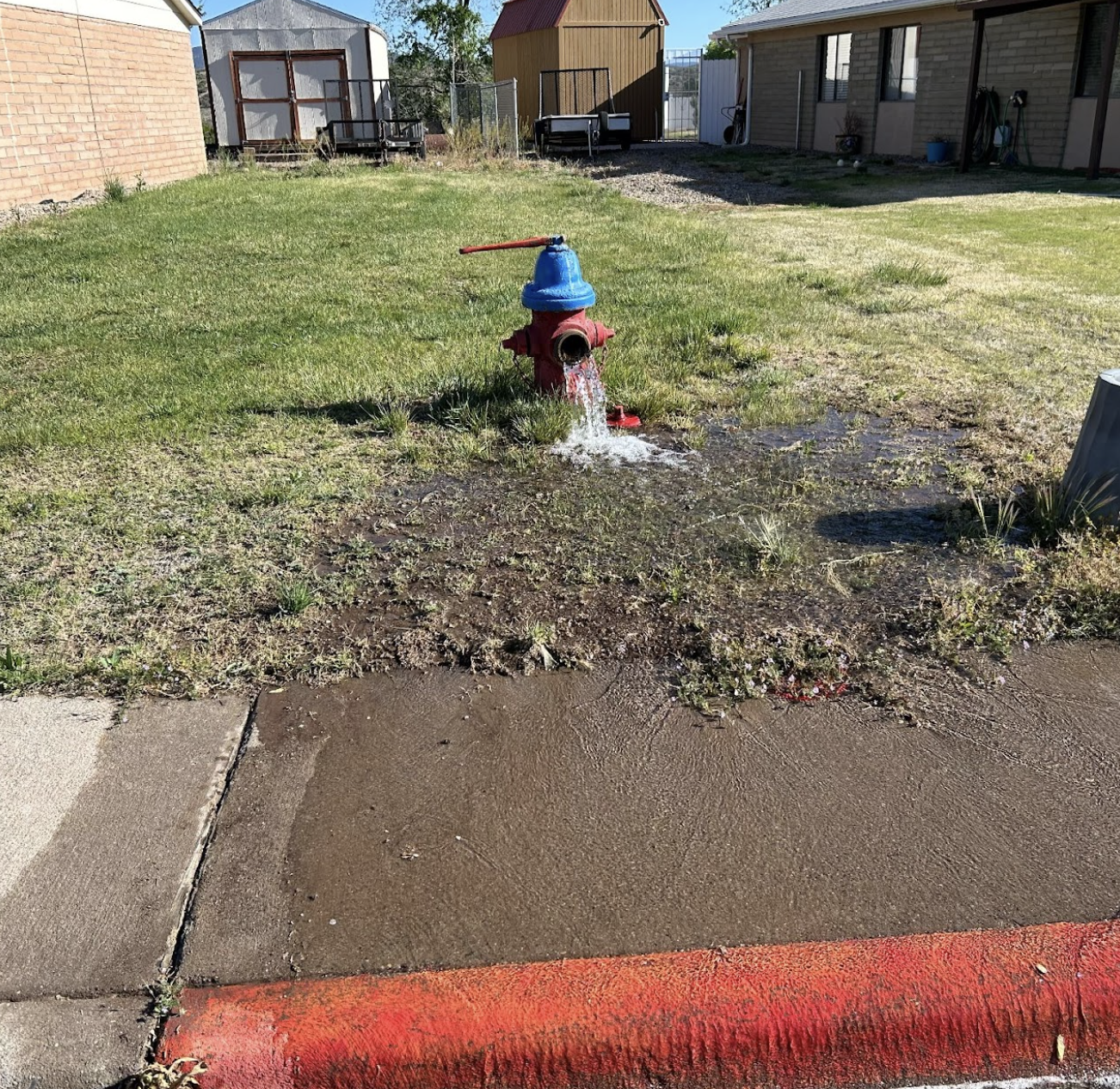 A red fire hydrant with water flowing out onto the grass next to a sidewalk with a red curb.