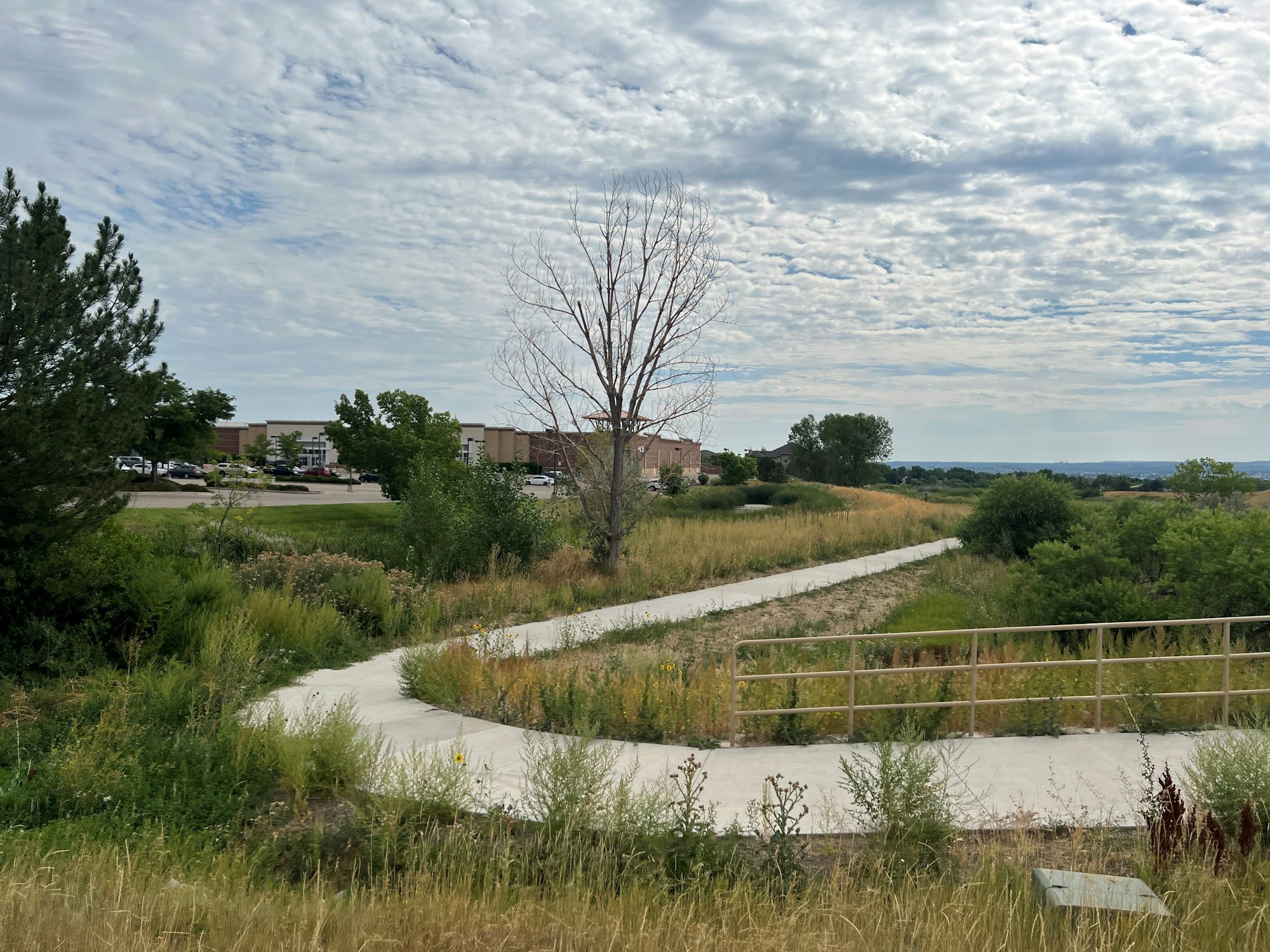 A curved path through grassy fields, lined with trees and buildings in the distance under a cloudy sky.