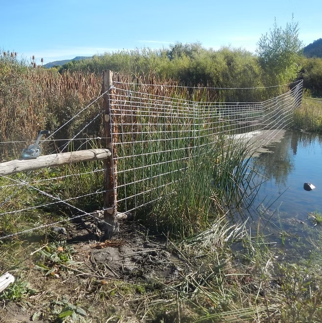 A wire fence runs into a pond surrounded by vegetation under a clear blue sky.