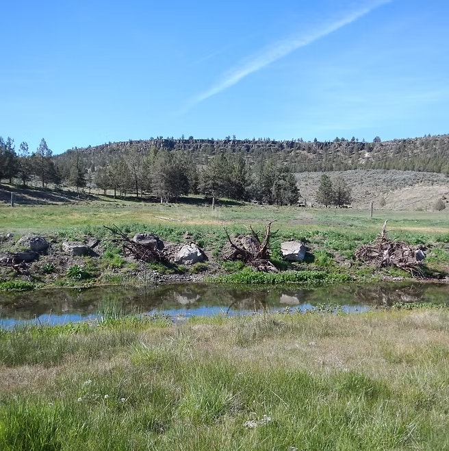 A small stream with grass and trees under a clear blue sky.