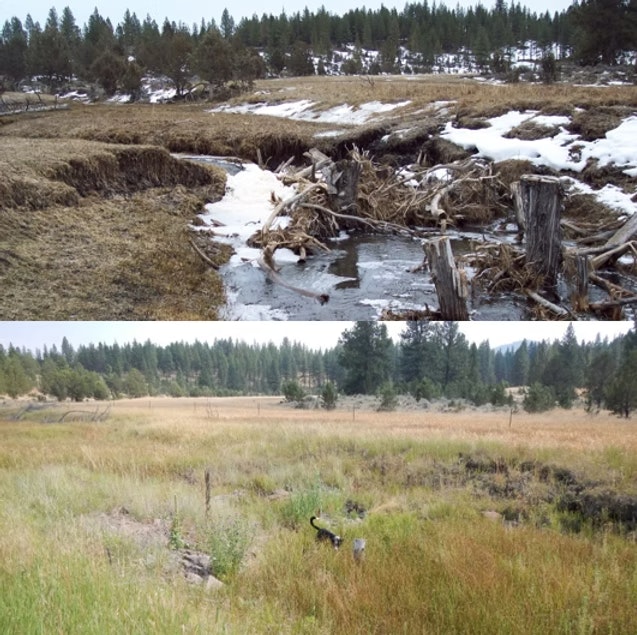 Before and after shots of a landscape restoration: top shows erosion, debris, snow; bottom shows lush grass and improved terrain.