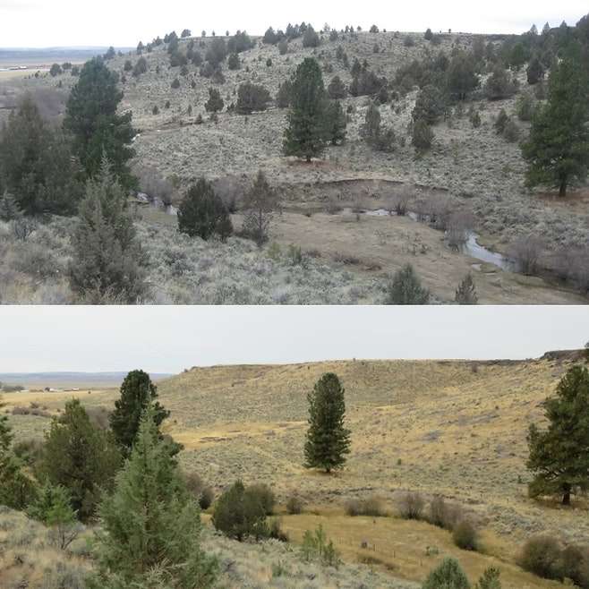 Two landscape photos showing a dry area with sparse trees and shrubs, featuring a small stream or creek in each image.