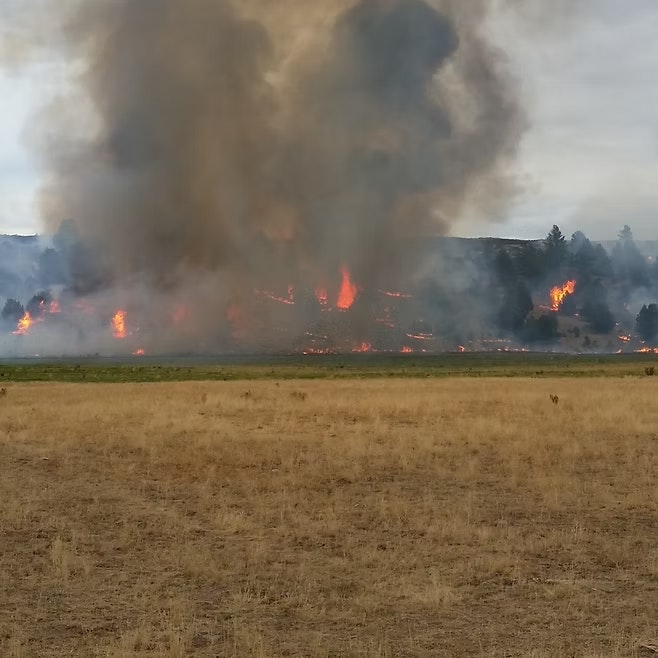 A wildfire in a grassy area with smoke and flames rising, surrounded by trees.