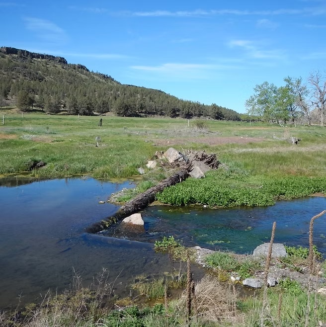 A small stream with rocks and a fallen tree in a grassy landscape, surrounded by hills and trees under a clear blue sky.