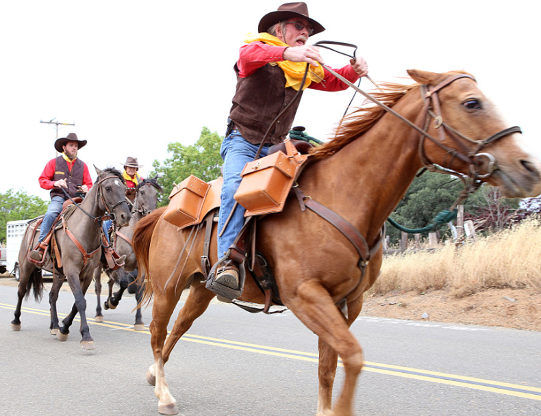 Pony Express Re-Ride Photo by Shelly Thorene, Mountain Democrat