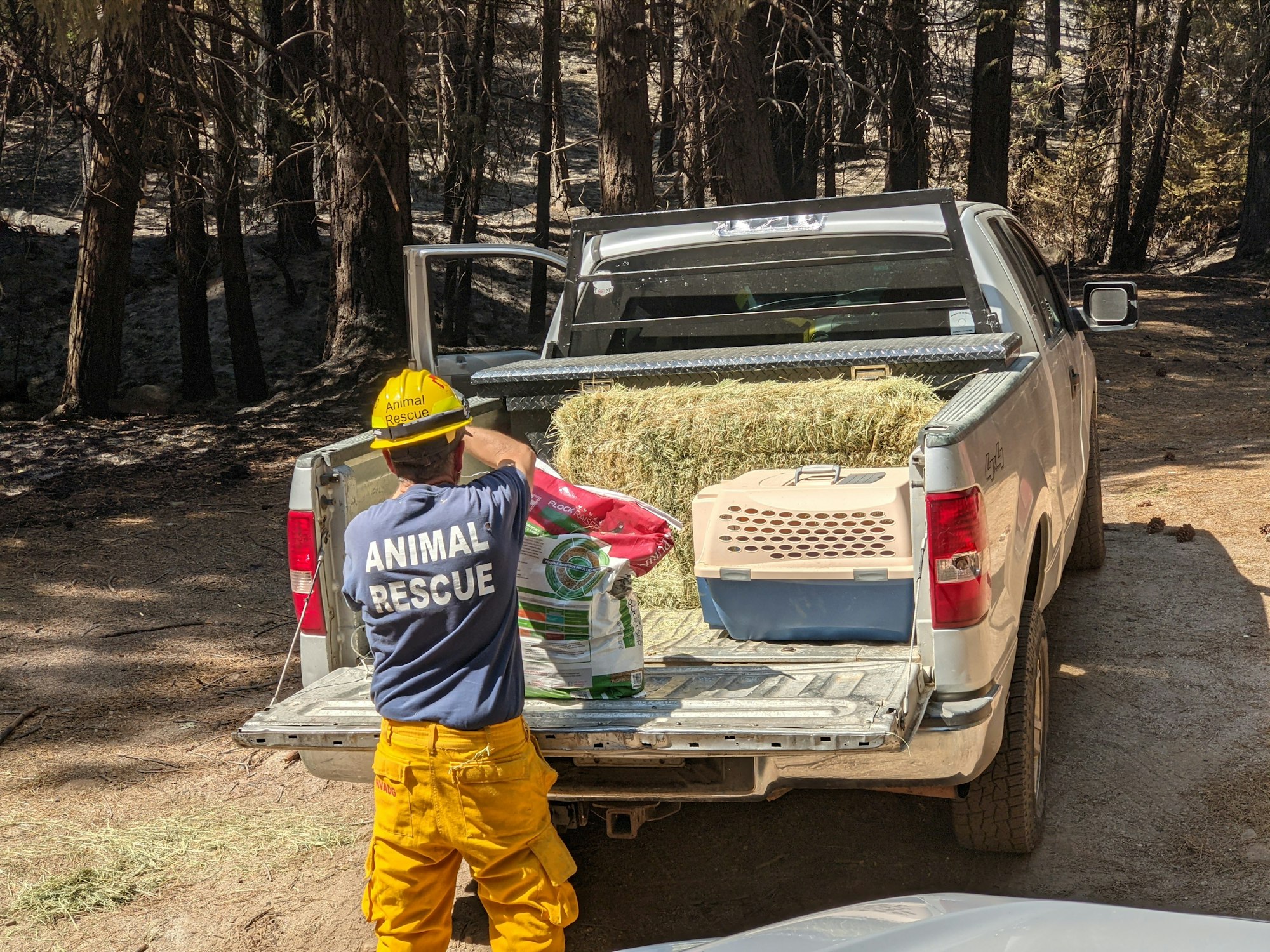 Caldor Fire Animal Rescue Worker (Photo by Doris Wong, K0BEE)
