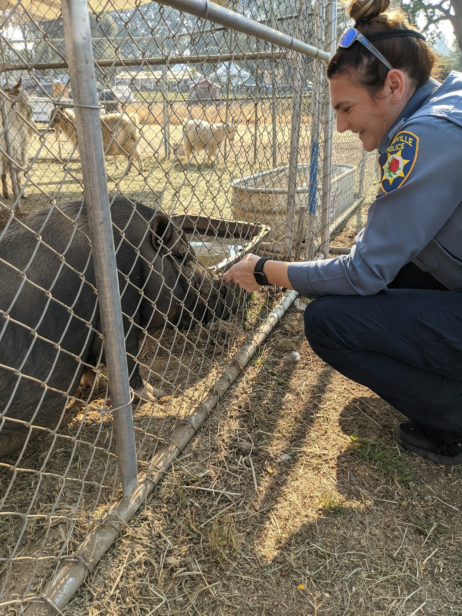 ACO Sara Severna with Roseville Animal Control at Animal Evacuation Center