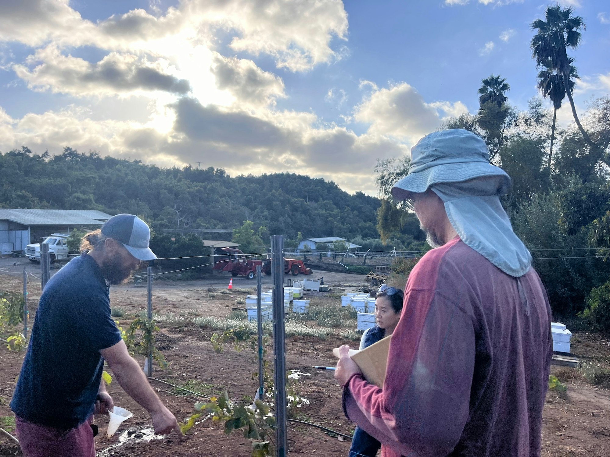 Three people in a garden, one with a clipboard, dramatic clouds overhead, surrounded by greenery and farming equipment.