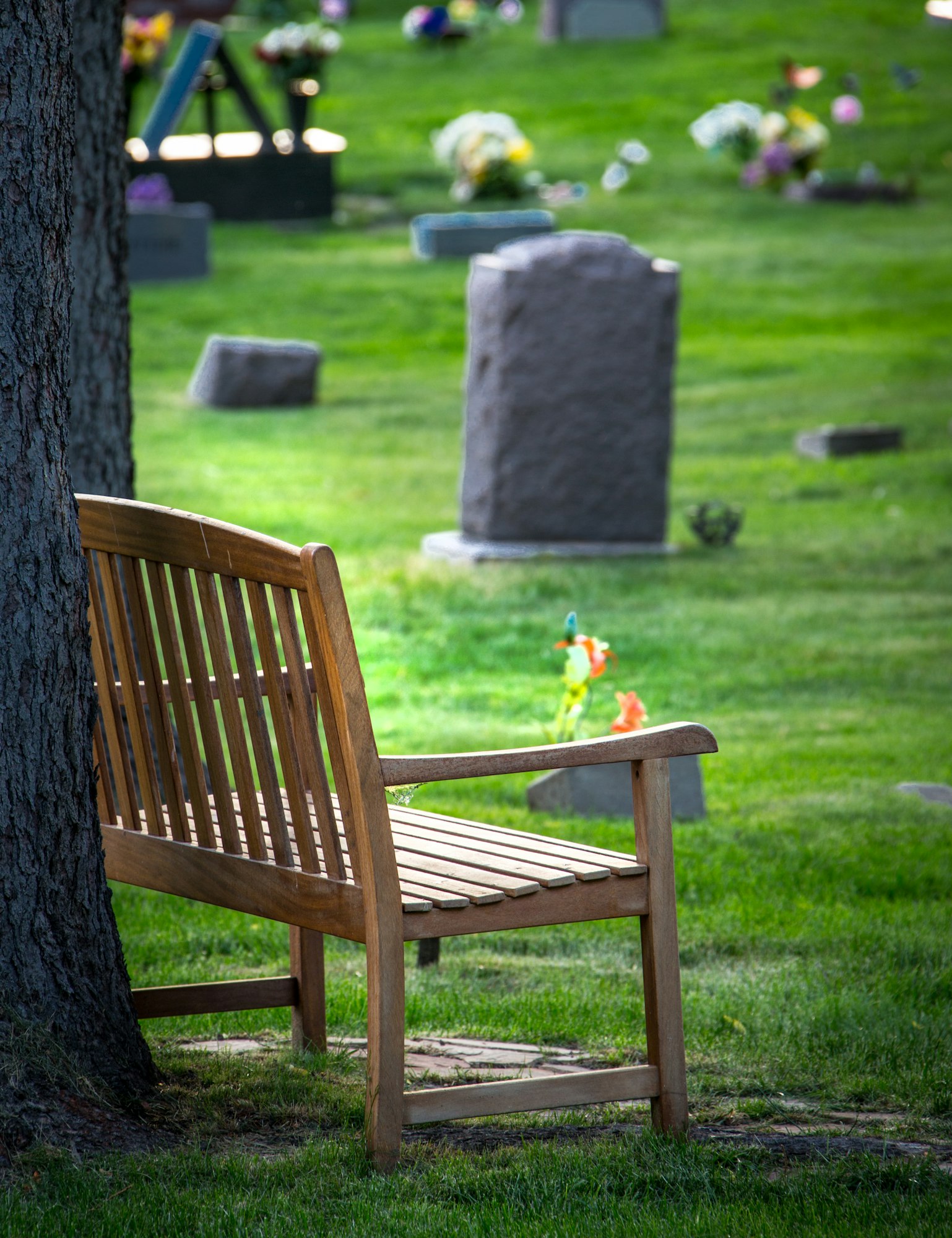 A wooden bench beside a tree in a cemetery, with tombstones and flowers in the background.