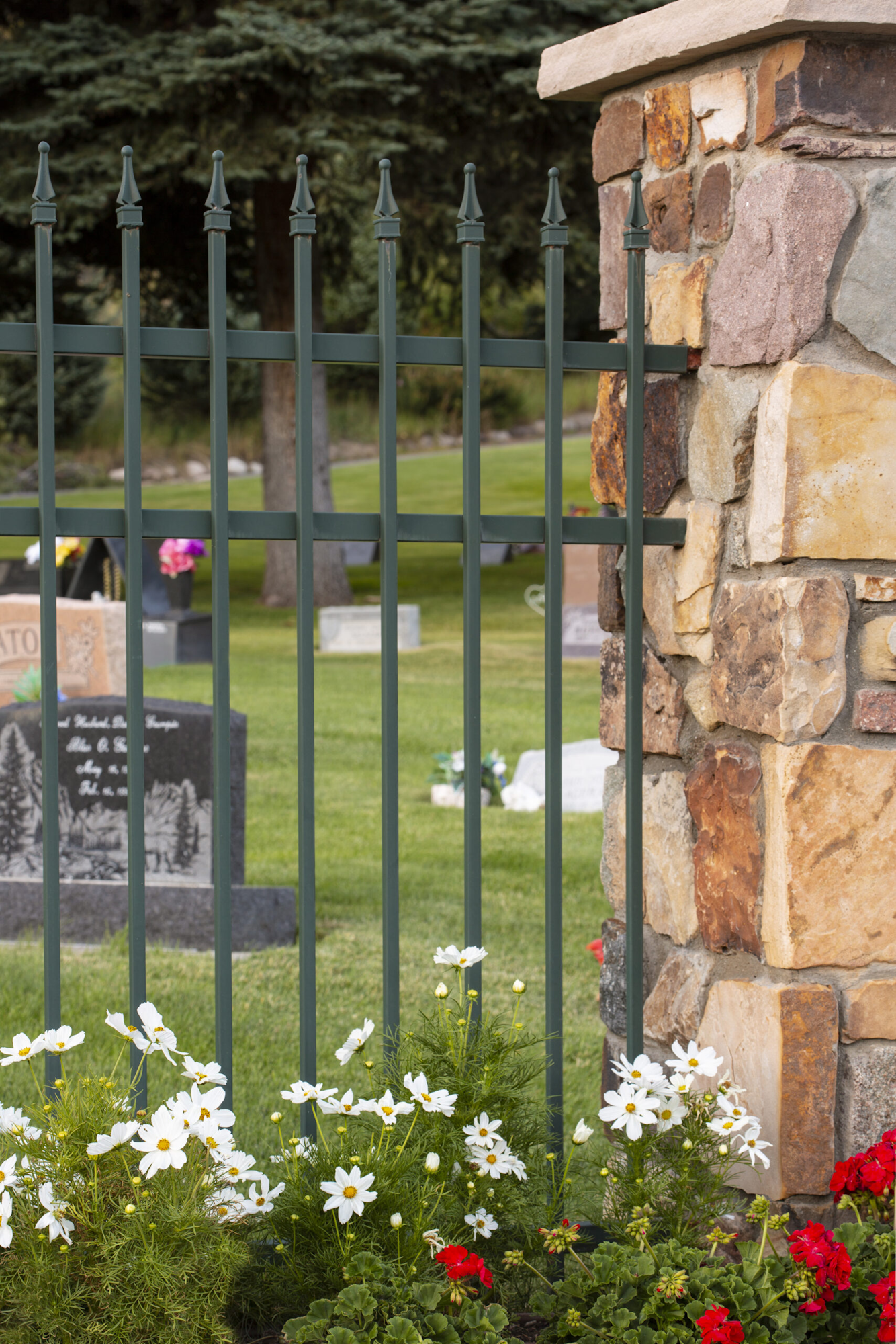 A black iron fence with flowers in front and gravestones visible in a cemetery behind.