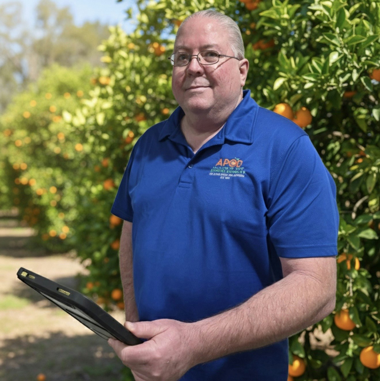 A man in a blue shirt stands in an orchard with orange trees, holding a tablet.
