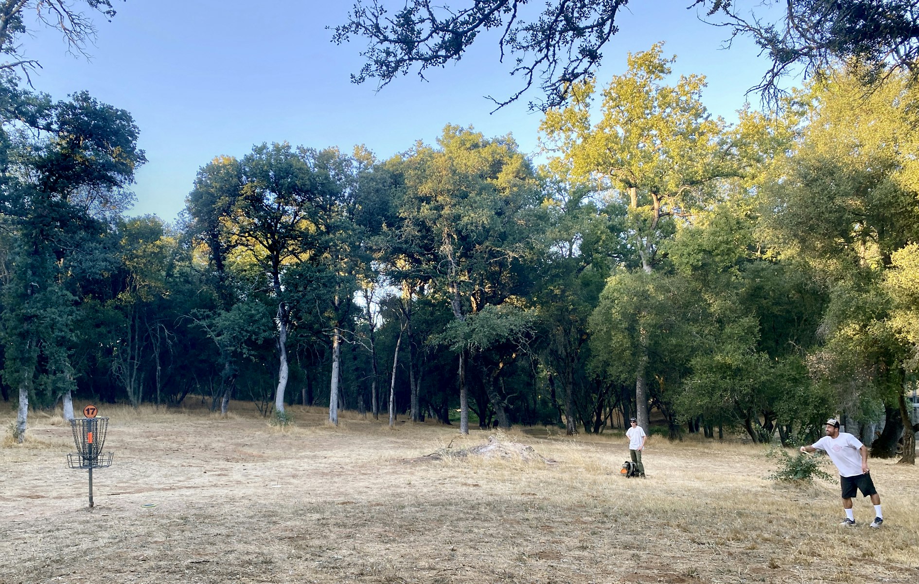 Two people playing disc golf in a forested area under a clear blue sky.