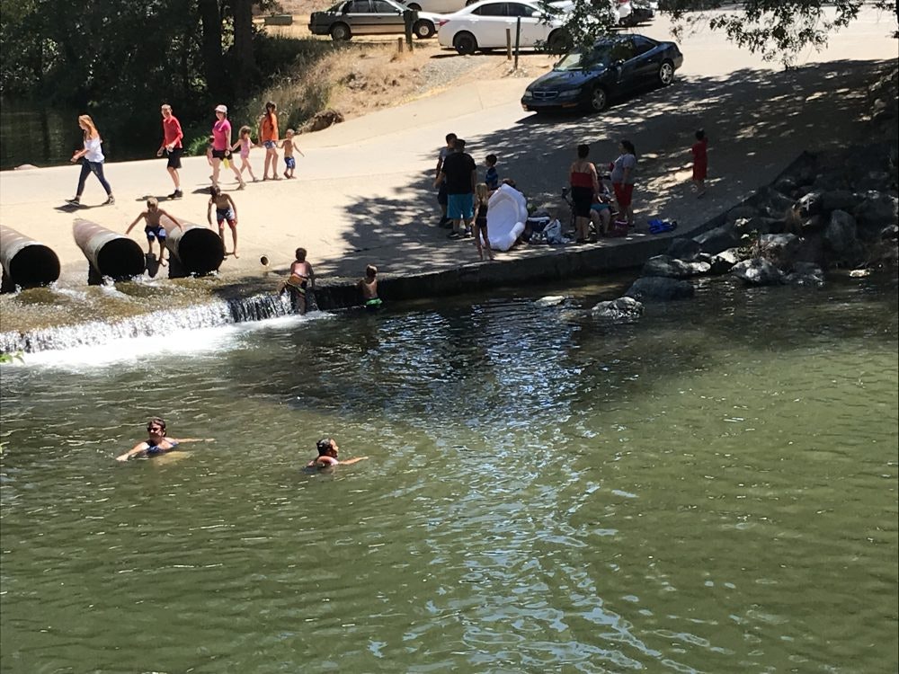 People swimming and walking near a park stream with a small waterfall, pipes, and parked cars in the background.