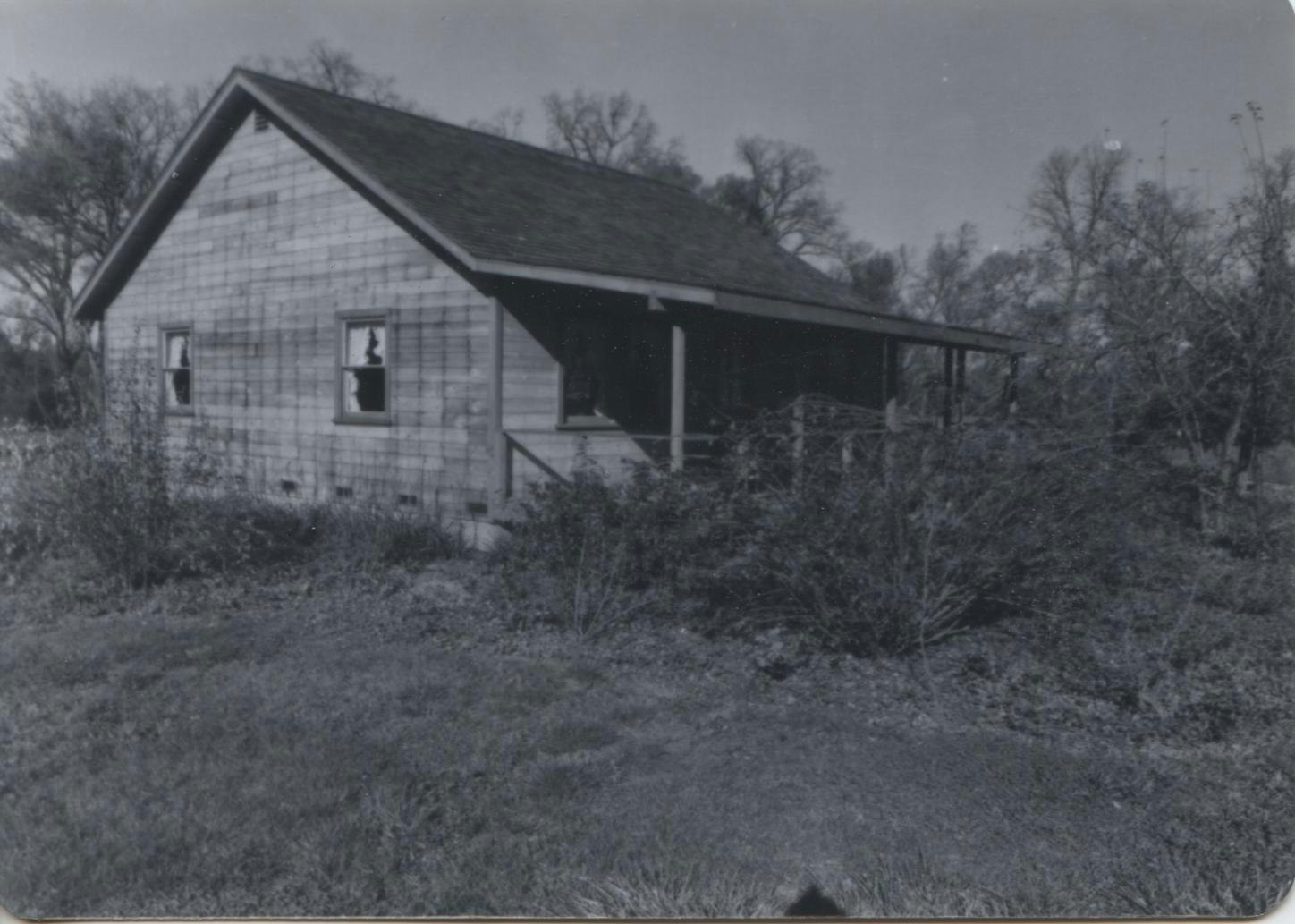 A black-and-white photo of the original Buttermaker's Cottage surrounded by overgrown vegetation and trees.