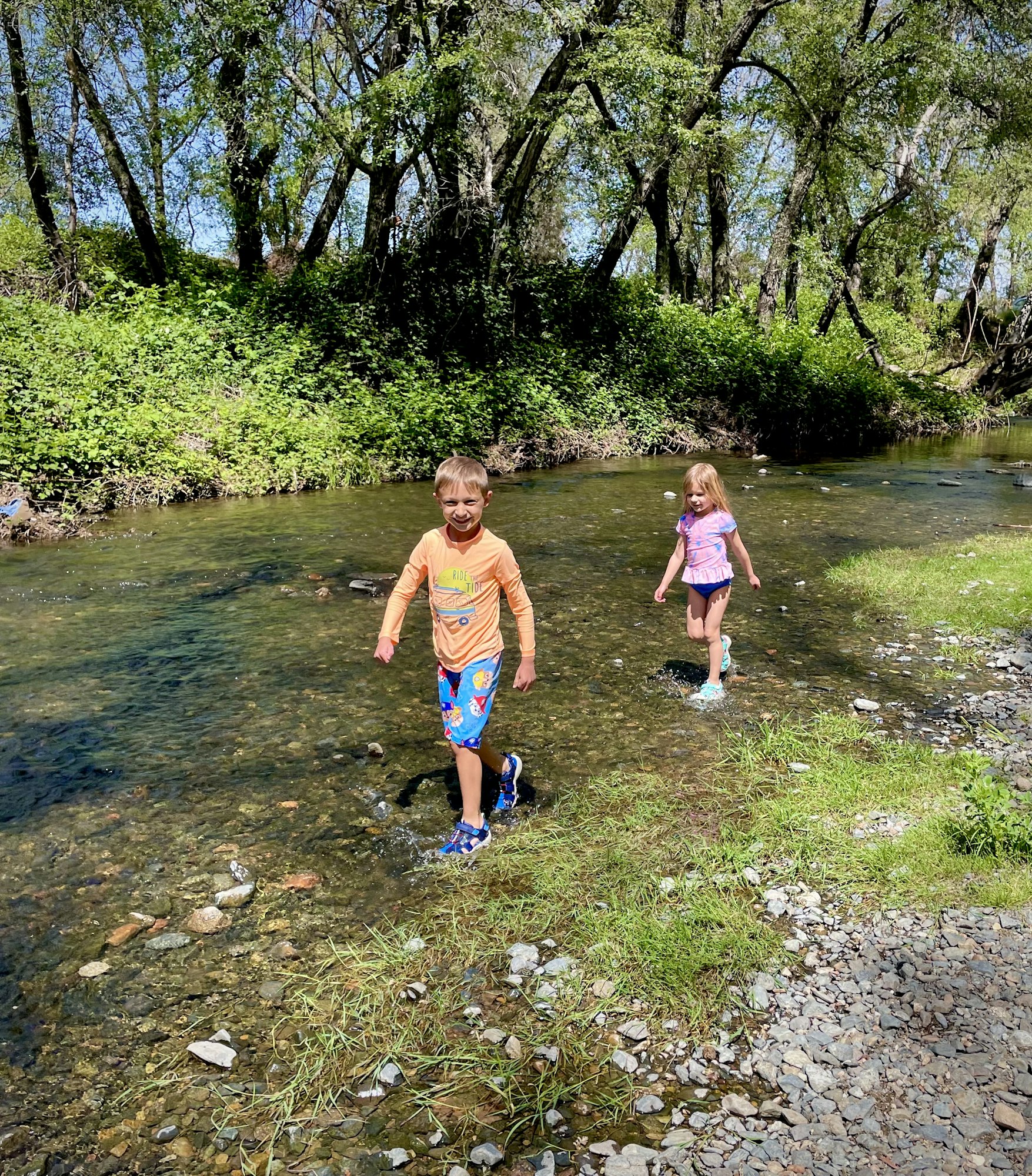 Two kids walking through a shallow creek surrounded by trees and greenery on a sunny day.