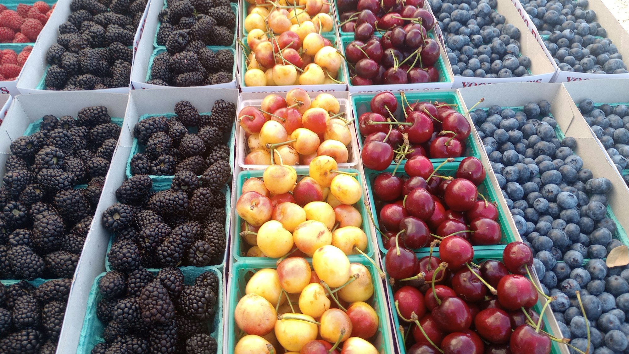 The image shows a colorful selection of fresh berries and stone fruits, including blackberries, cherries, and blueberries.