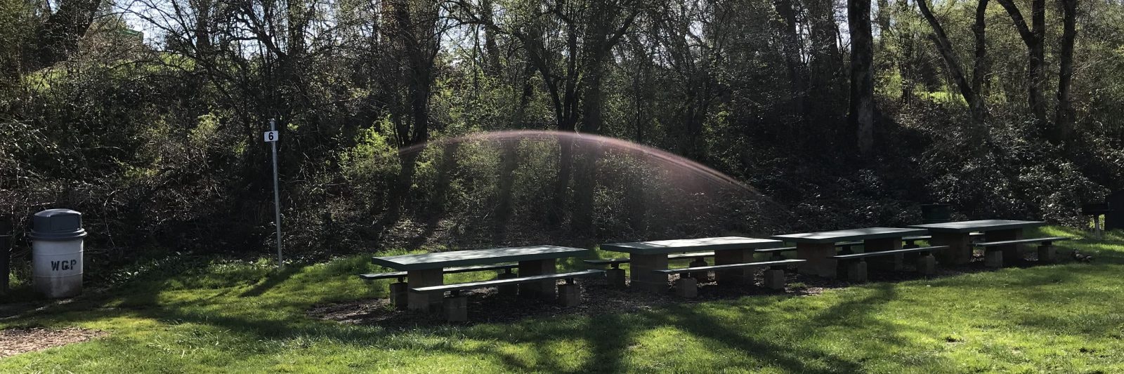 Picnic tables in a grassy area with a sprinkler spraying water, surrounded by trees.