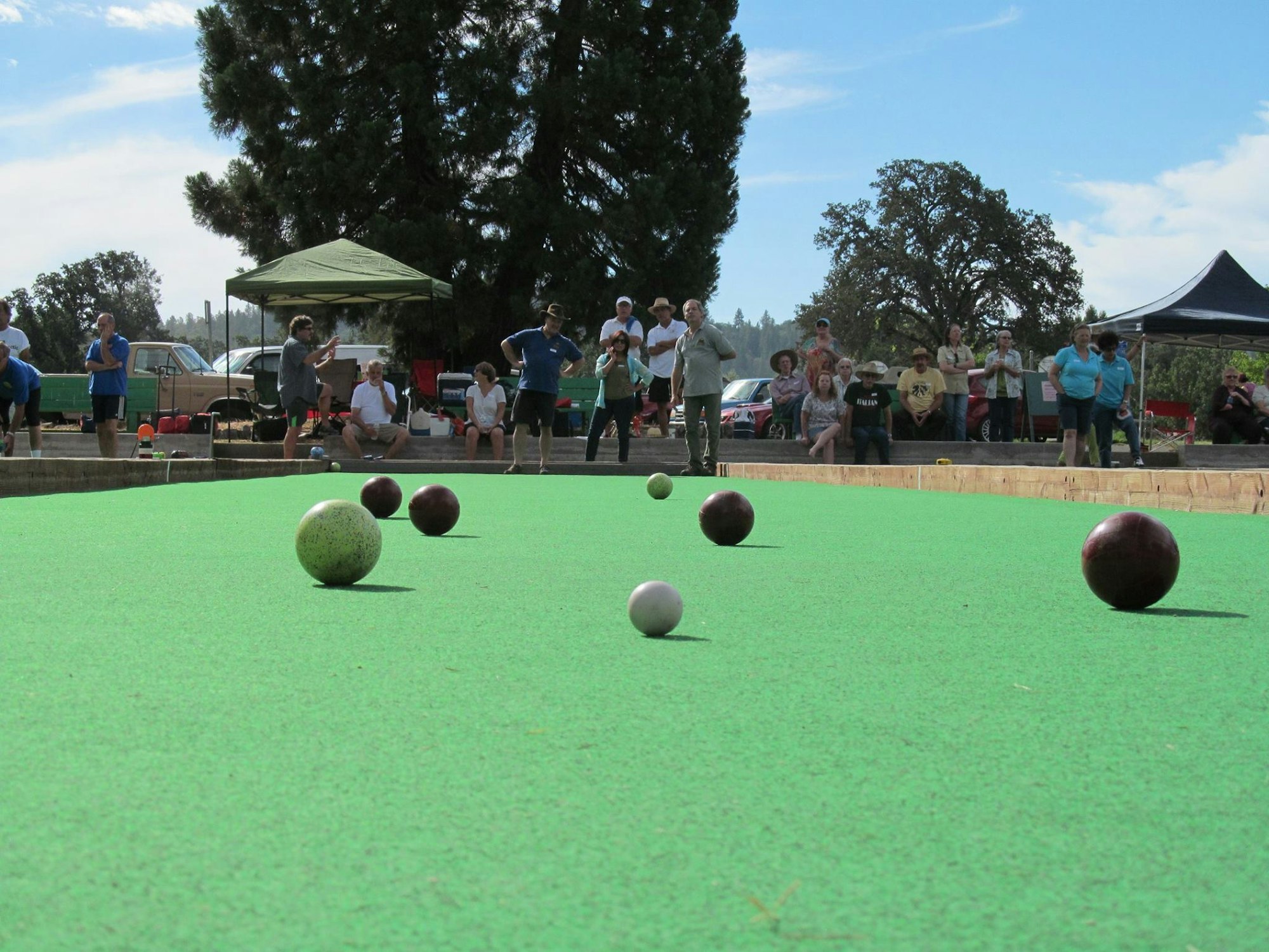 People watching a bocce game on a green court with multiple balls, surrounded by trees and tents.