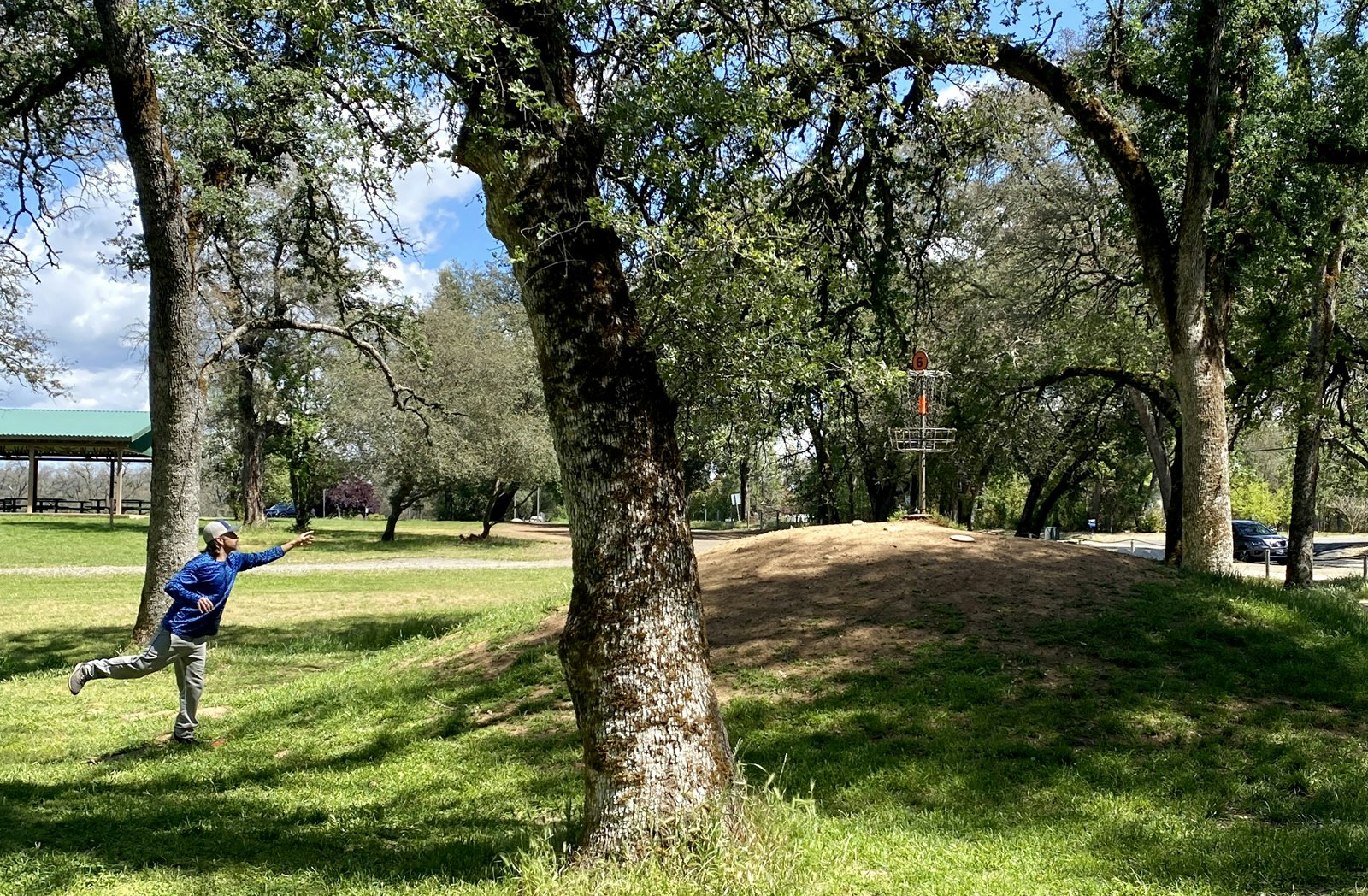 Person playing disc golf in a park, throwing a disc towards a basket on a grassy hill.