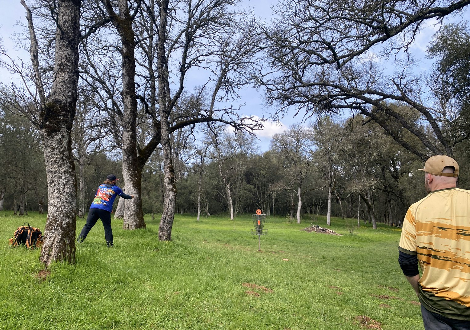 Two people in a wooded area playing disc golf, aiming at a basket with the number 17.