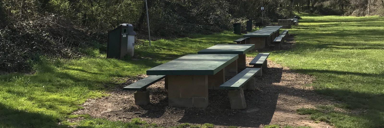 Picnic tables and benches in a grassy area with surrounding trees.