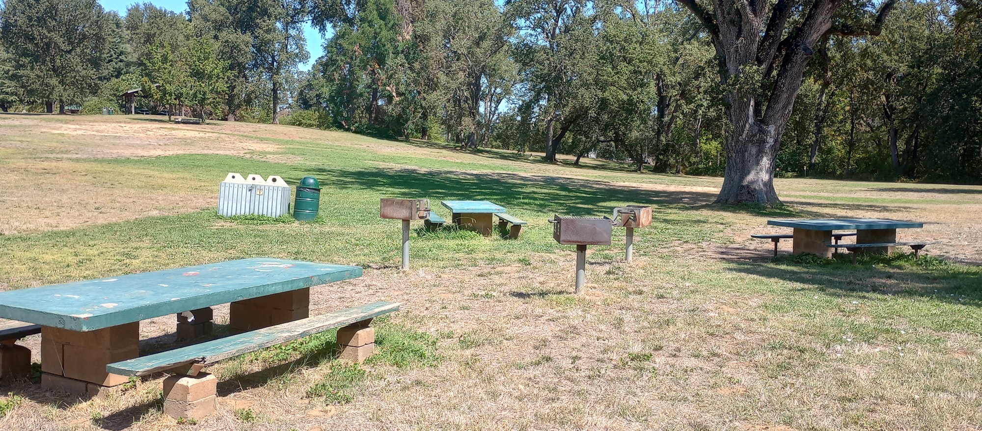 Park scene with picnic tables, grills, a trash can, and trees.