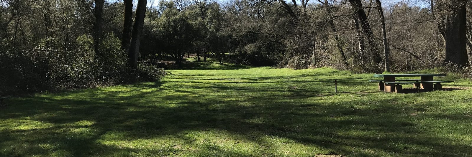 A grassy clearing in a forest with a picnic table on the right side under tall trees.