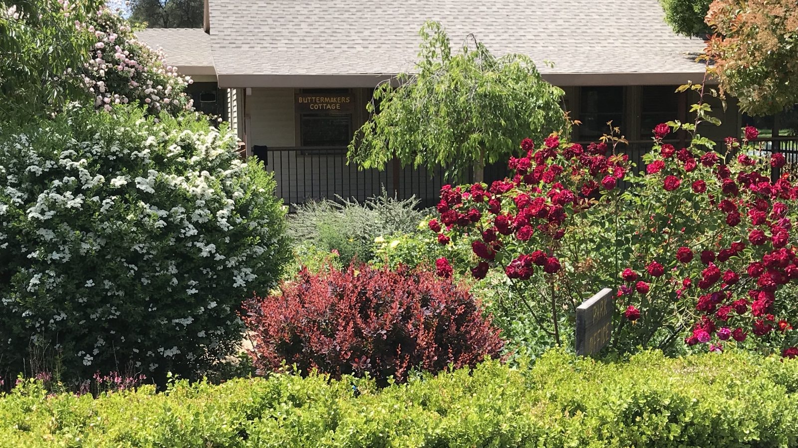 A lush garden with colorful flowers and bushes in front of a building labeled "Buttermakers Cottage" and another sign for "Park Office."