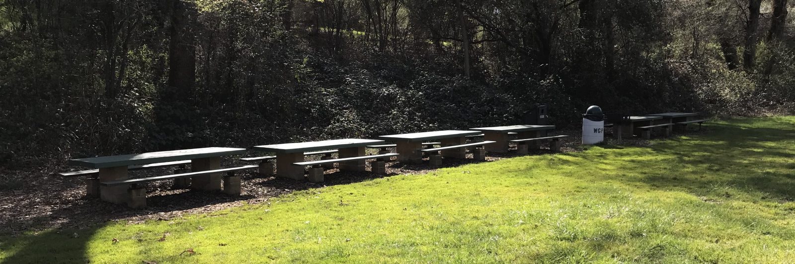 Outdoor picnic tables and a trash can by a grassy area and trees.