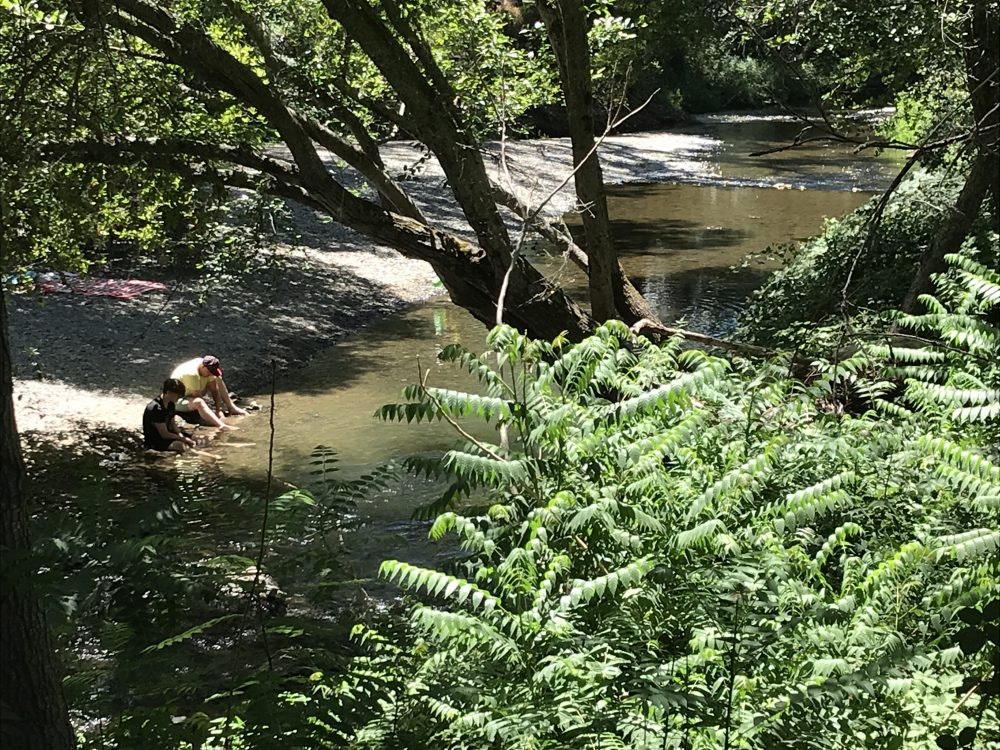 Two people sitting by a serene river, surrounded by lush greenery and trees.