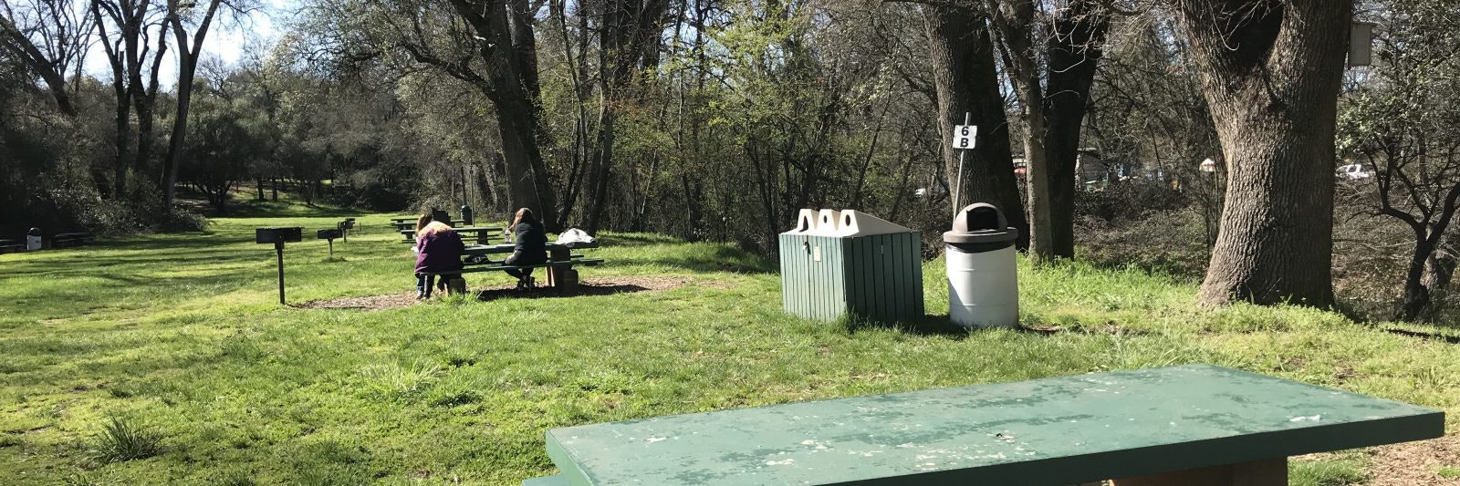 Picnic area with tables, people sitting, trash cans, and trees in a grassy park setting.