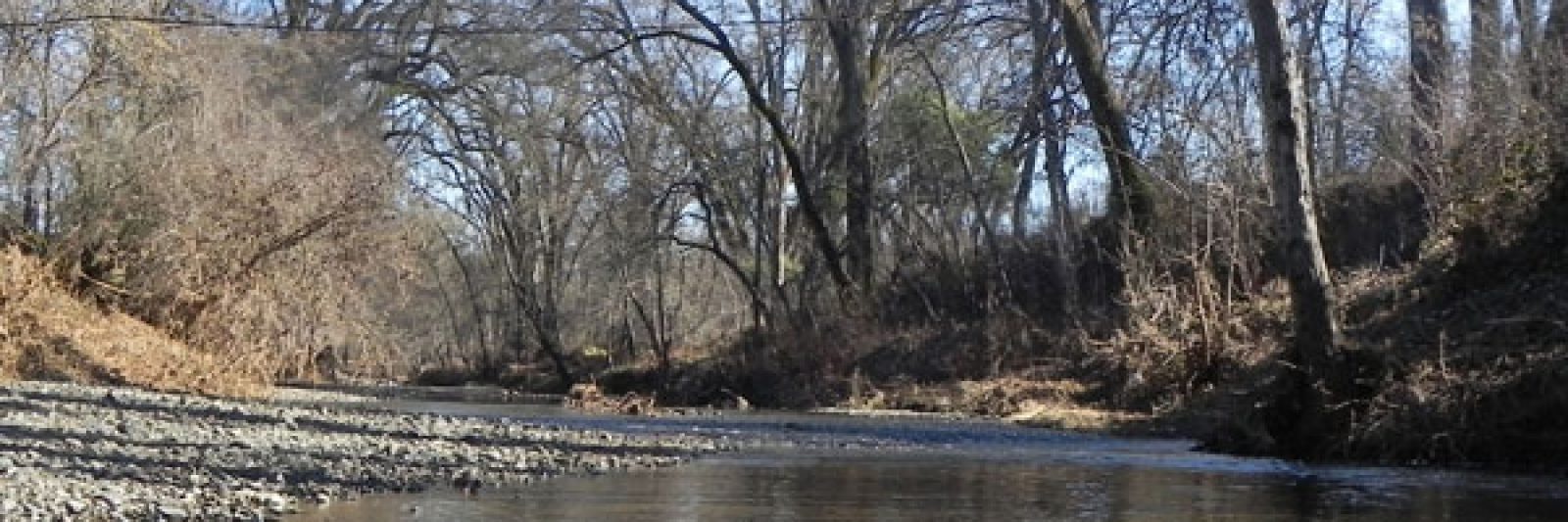 A tranquil, leafless riverside scene with bare trees and a rocky riverbank.