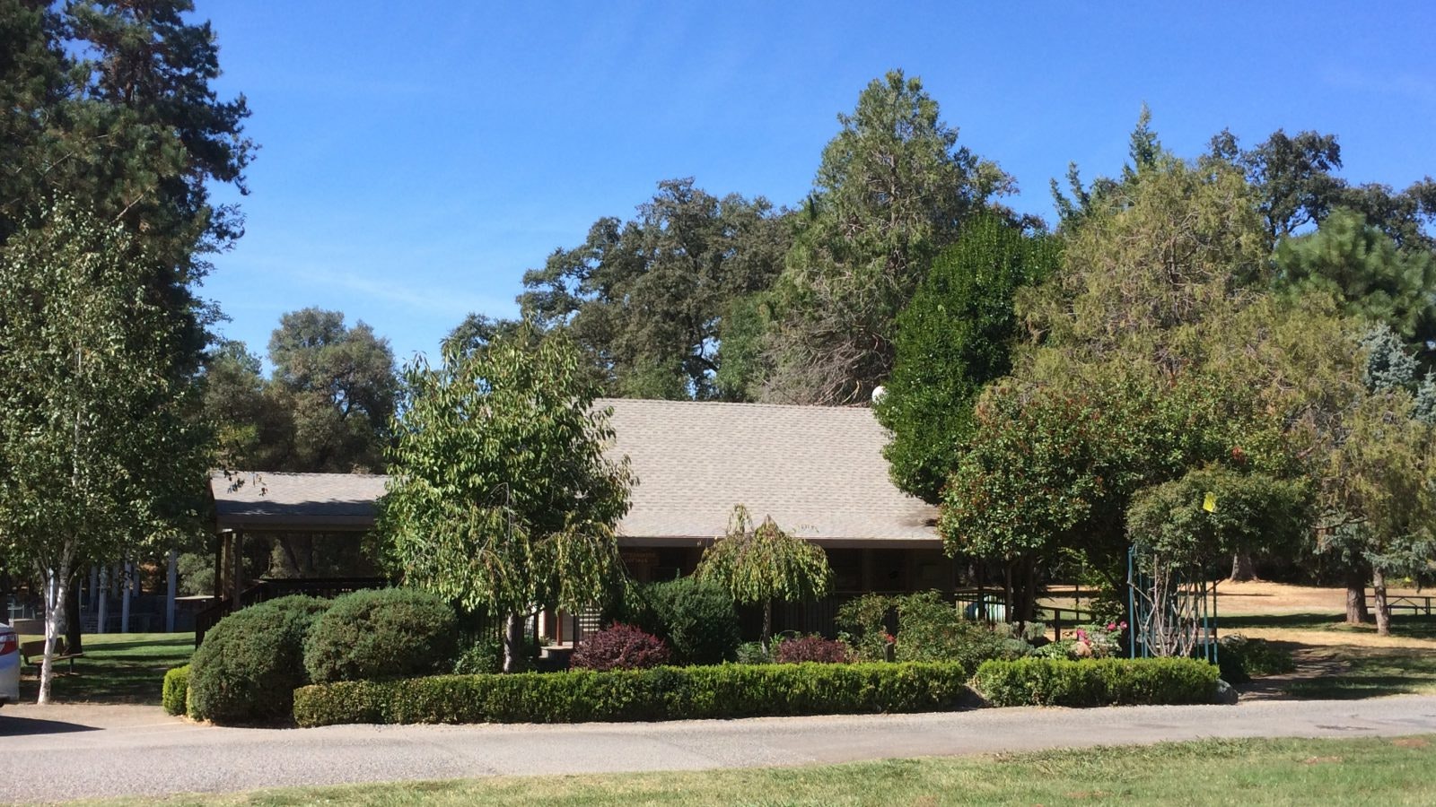 House surrounded by trees and shrubs on a sunny day.