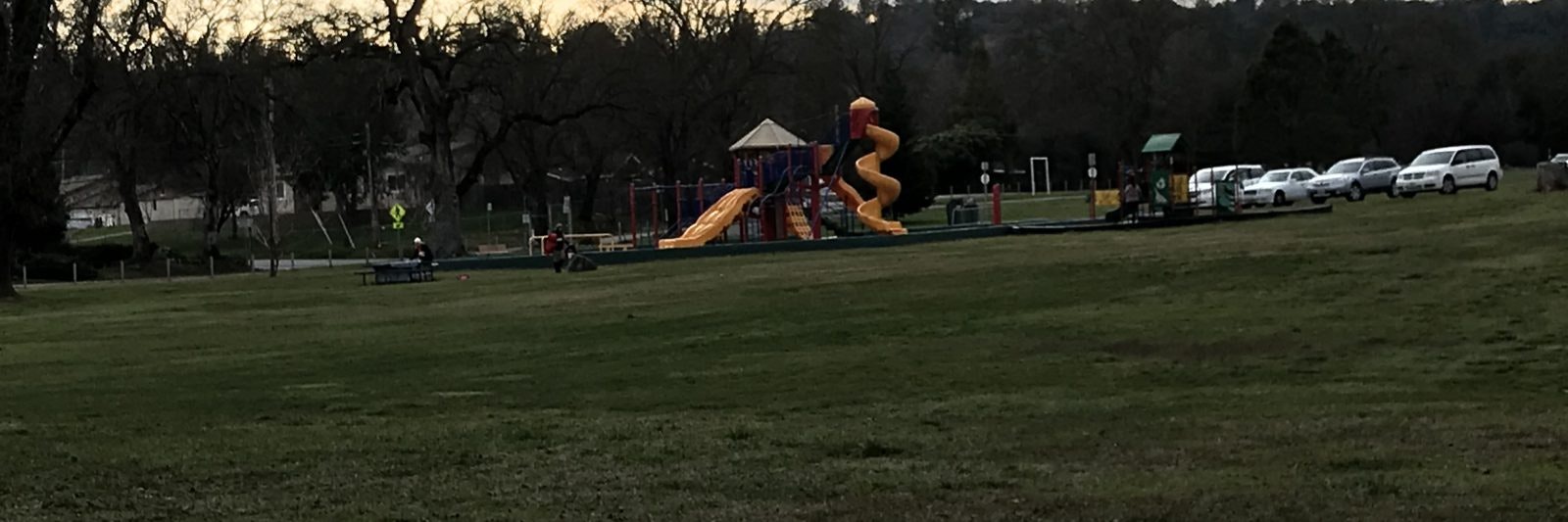 A playground with slides and cars parked nearby in a grassy park setting.